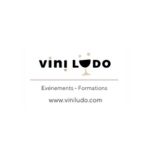 logo viniludo carré